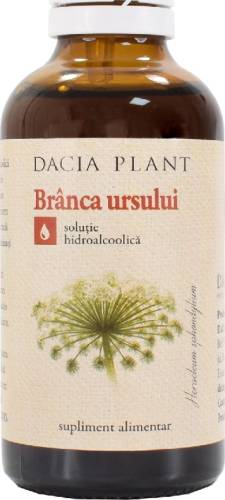 Branca Ursului Tinctura Dacia Plant 50ml